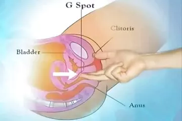 Shane Diesel, biệt phim sex nhật bản năm 2017 danh Blackzilla, hành hạ một người đẹp gầy gò.