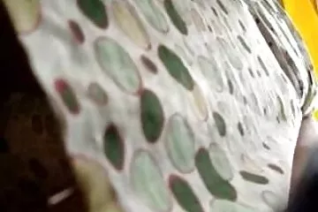 Chuẩn bị mông để quan hệ tình dục qua đường hậu môn. Video bài học số phim sex jav nhật 1.