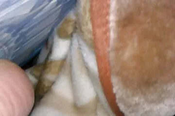 Thanh niên cõng bà già xinh đẹp phim sex jav nhat ban để làm tình