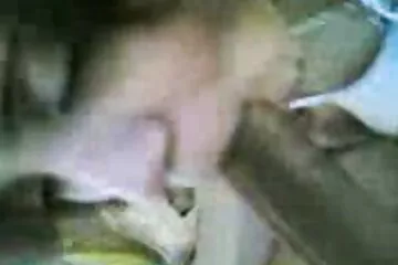 Điểm đàn hồi của cô gái tóc vàng nam diễn viên sex nhật trẻ tuổi Alicia Williams.